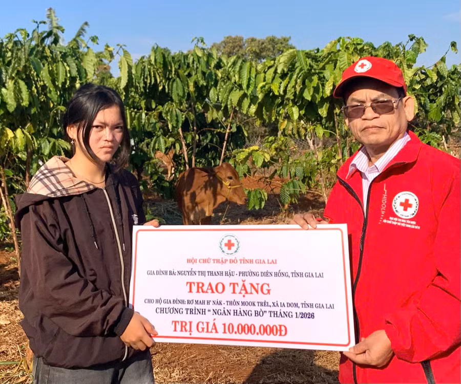 ong-ha-van-cat-chu-tich-hoi-chu-thap-do-tinh-gia-lai-trao-bo-sinh-san-cho-gia-dinh-chi-ro-mah-hnak-anh-ctv.jpg