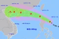 Chủ động ứng phó bão WIPHA