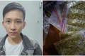 Công an xã Tây Sơn phát hiện đối tượng tàng trữ, mua bán cỏ Mỹ