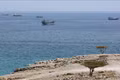 Eo biển Hormuz.