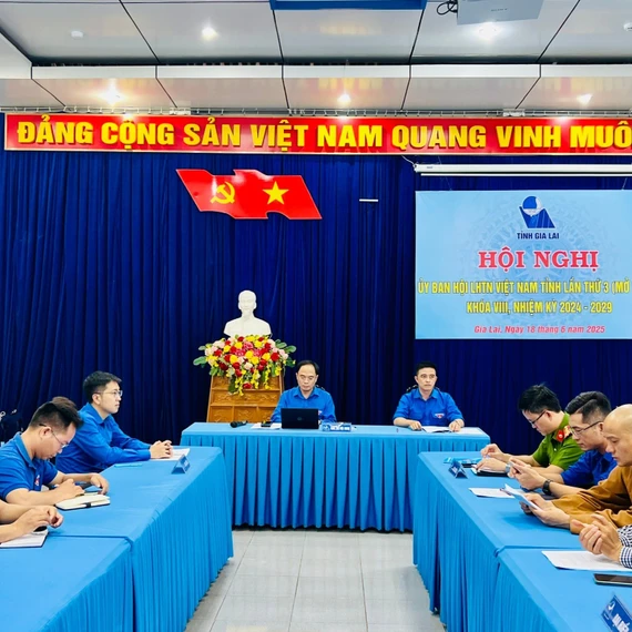 Gia Lai: Tổ chức Hội Liên hiệp thanh niên các cấp tư vấn, giới thiệu việc làm cho hơn 10.400 thanh niên