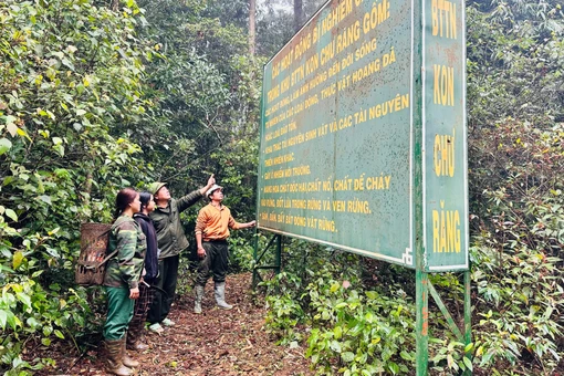 Cộng đồng người Bahnar chung sức giữ rừng Kon Chư Răng