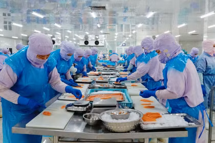 Kim ngạch xuất khẩu tháng 7 ước đạt 253,16 triệu USD, nâng tổng kim ngạch xuất khẩu lũy kế 7 tháng lên 2,354 tỷ USD, tăng 2,7% so với cùng kỳ năm 2025.