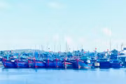 gia-lai-tang-cuong-phong-chay-tau-ca