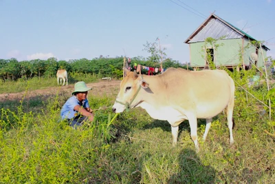 Giúp người chấp hành xong án phạt tù tái hòa nhập cộng đồng