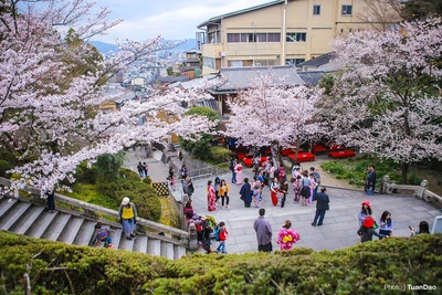 Kiyomizu Dera - chùa cổ nổi tiếng nhất Kyoto