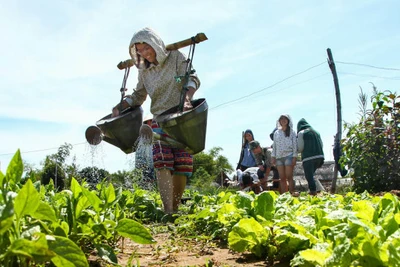 Đọc sách, ngồi thiền... giúp giới trẻ trải nghiệm cuộc sống