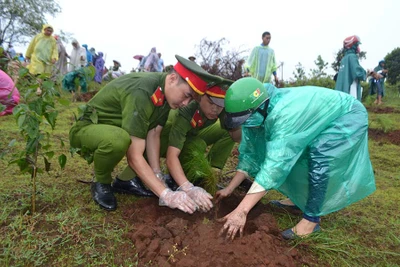 Thành phố Pleiku: Trồng 1.500 cây nhớ ơn Bác Hồ