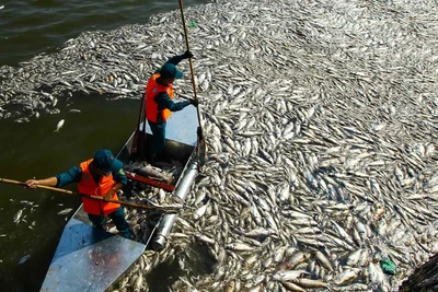 Bắt tổng giám đốc Công ty Thoát nước Hà Nội: Ông Nguyễn Đức Chung có liên quan