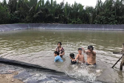 Về quê chơi hè