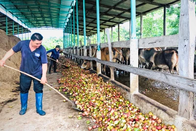 Từ người chăn bò thuê trở thành tỷ phú