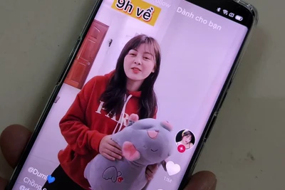 VNG kiện TikTok yêu cầu bồi thường 221,5 tỉ đồng: Giọt nước tràn li