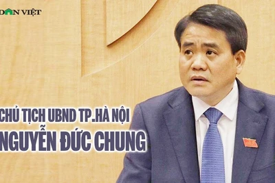 Đình chỉ công tác cán bộ Nhà nước trong trường hợp nào?