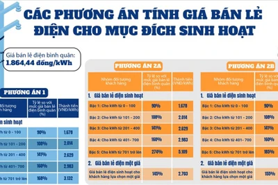 Đề xuất điện một giá 2.703 đồng/kWh: Chưa thấy lợi ích cho người sử dụng