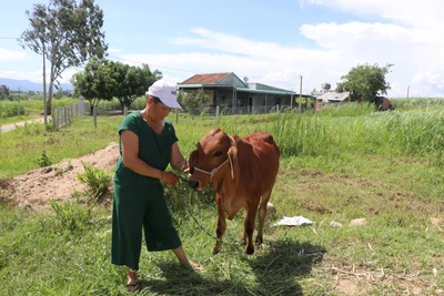 An Khê quan tâm hỗ trợ hộ nghèo