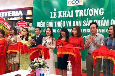 Gia Lai: Khai trương điểm giới thiệu và bán sản phẩm OCOP