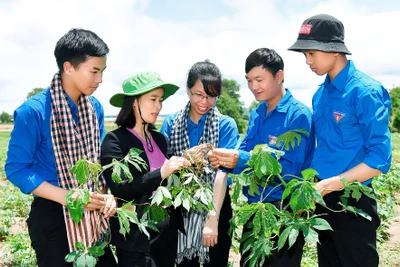 Sôi nổi chiến dịch thanh niên tình nguyện hè