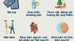 8 ngành nghề cấm đầu tư kinh doanh mới nhất