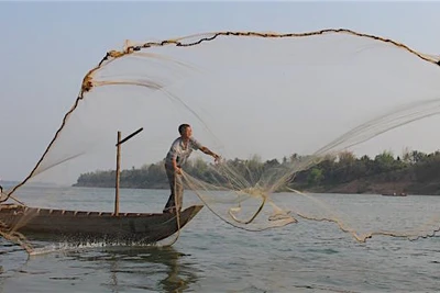 Nghiên cứu những tác động từ dự án thủy điện trên dòng chính sông Mê Kông: Việc làm cấp thiết