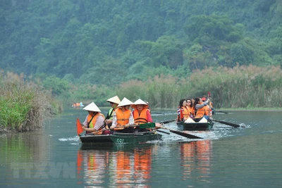 Vẻ đẹp say đắm lòng người ở Tràng An trong mùa lau trắng