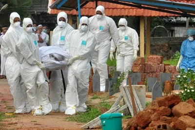 Cảnh báo đáng sợ về virus Nipah chết chóc