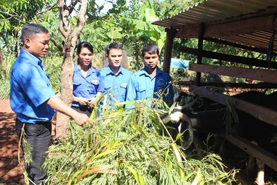 Thủ lĩnh Đoàn "2 giỏi"