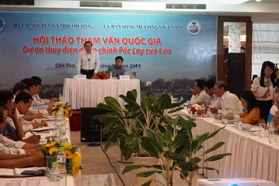 Việt Nam thực hiện tham vấn quốc gia Dự án thủy điện dòng chính Pắc Lay của Lào