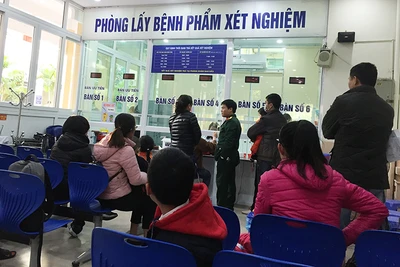 BV Xanh Pôn gian lận xét nghiệm: Chủ tịch Hà Nội "hỏa tốc" xử lý