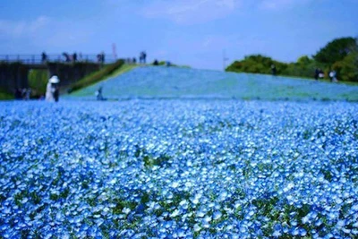 6 lí do không thể bỏ qua Fukuoka khi du lịch Nhật Bản