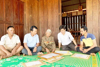 Lớn lên cùng cách mạng