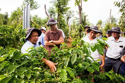 Bayer Agricademy: Mở ra cơ hội mới cho người trồng cà phê