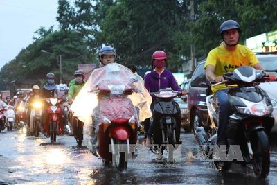 Cuối tuần Trung Bộ, Tây Nguyên và Nam Bộ có mưa dông