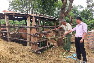 Hỗ trợ chuồng trại để hoàn thành tiêu chí môi trường