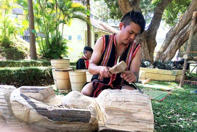 Thêm tài liệu nghiên cứu về tượng gỗ dân gian Bahnar, Jrai