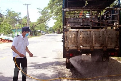 Dịch tả lợn châu Phi vẫn tiếp tục diễn biến phức tạp