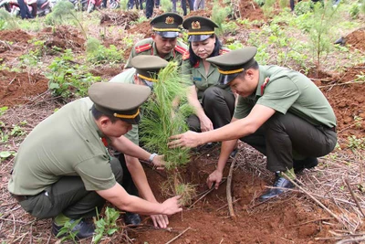 TP. Pleiku phát động trồng cây đời đời nhớ ơn Bác Hồ