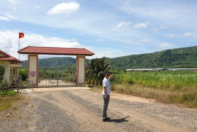 Đắk Lắk: Đại dự án nuôi bò khiến dân phải "màn trời chiếu đất"