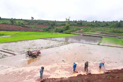 Ia Grai chủ động phòng-chống lụt bão