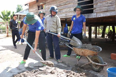 Sinh viên tình nguyện về làng