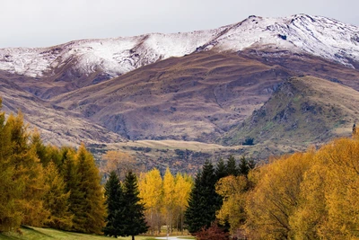 New Zealand-mùa thu mê đắm lòng người