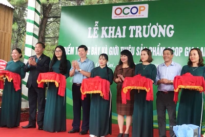 Khai trương điểm trưng bày, giới thiệu sản phẩm OCOP tại Biển Hồ