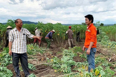 Tỷ phú "chân đất" ở Pờ Tó