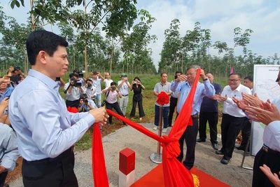 Bàn giao mặt bằng xây dựng giai đoạn 1 dự án sân bay Long Thành