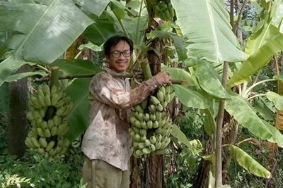 Lão nông yêu rừng