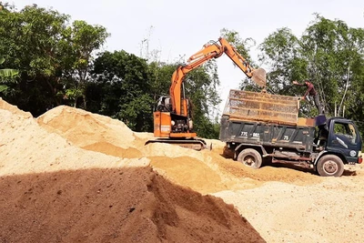 Bình Định: Xử lý bãi cát lậu ngang nhiên hoạt động ở Tuy Phước