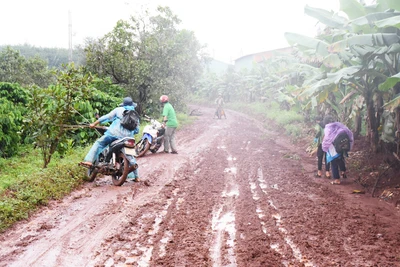 Ia Grai hướng đến mục tiêu huyện nông thôn mới