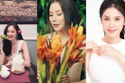 Lý do Hồ Quỳnh Hương, Việt Trinh, Angela Phương Trinh ăn chay và sống "ẩn"?