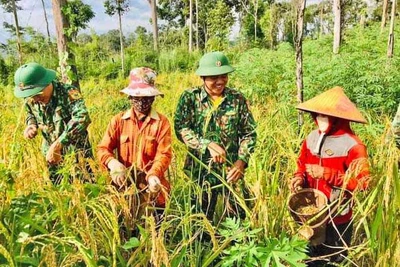 "Cột mốc sống" trên biên giới Gia Lai