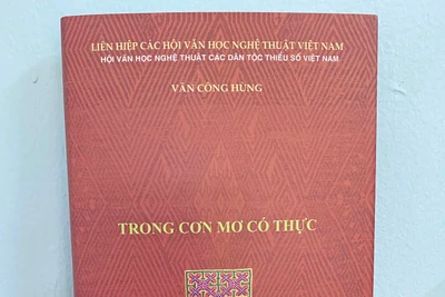 Văn Công Hùng: Đi hoài không hết một cơn mơ...