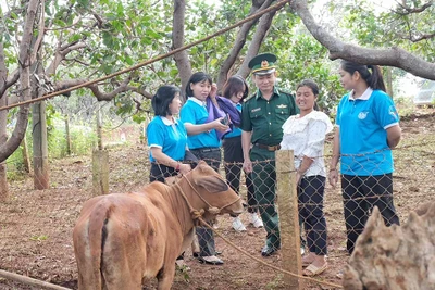 Chương trình "Đồng hành cùng phụ nữ biên cương": Thiết thực, lan tỏa